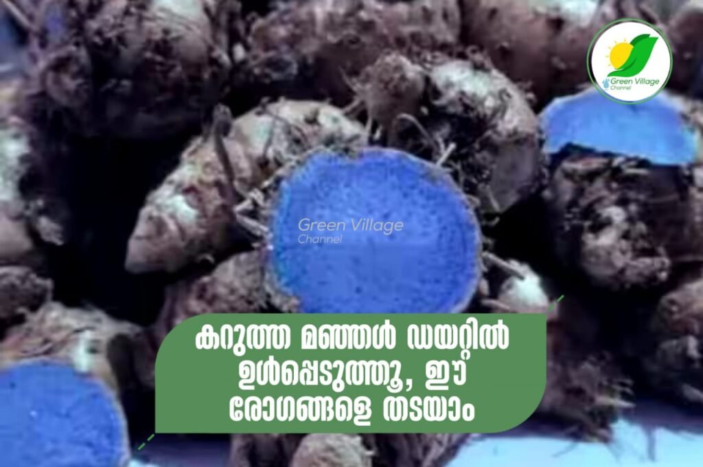 IMG 20230916 WA0003 1024x680