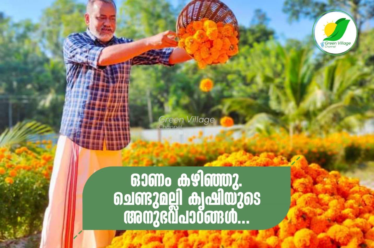IMG 20230917 WA0048