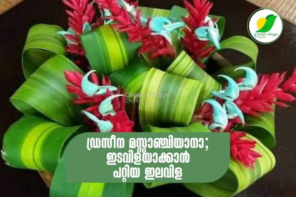 IMG 20230917 WA0074 1024x680