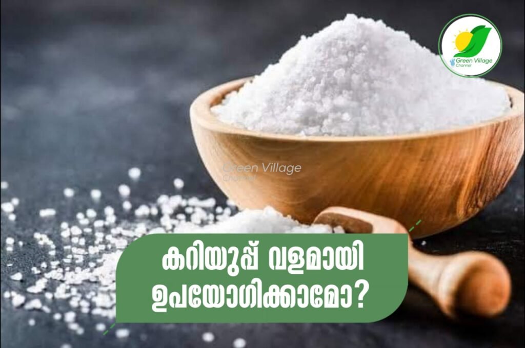 IMG 20230919 WA0000 1024x680