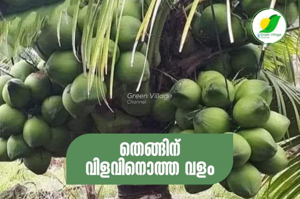 IMG 20230919 WA0024 1024x680