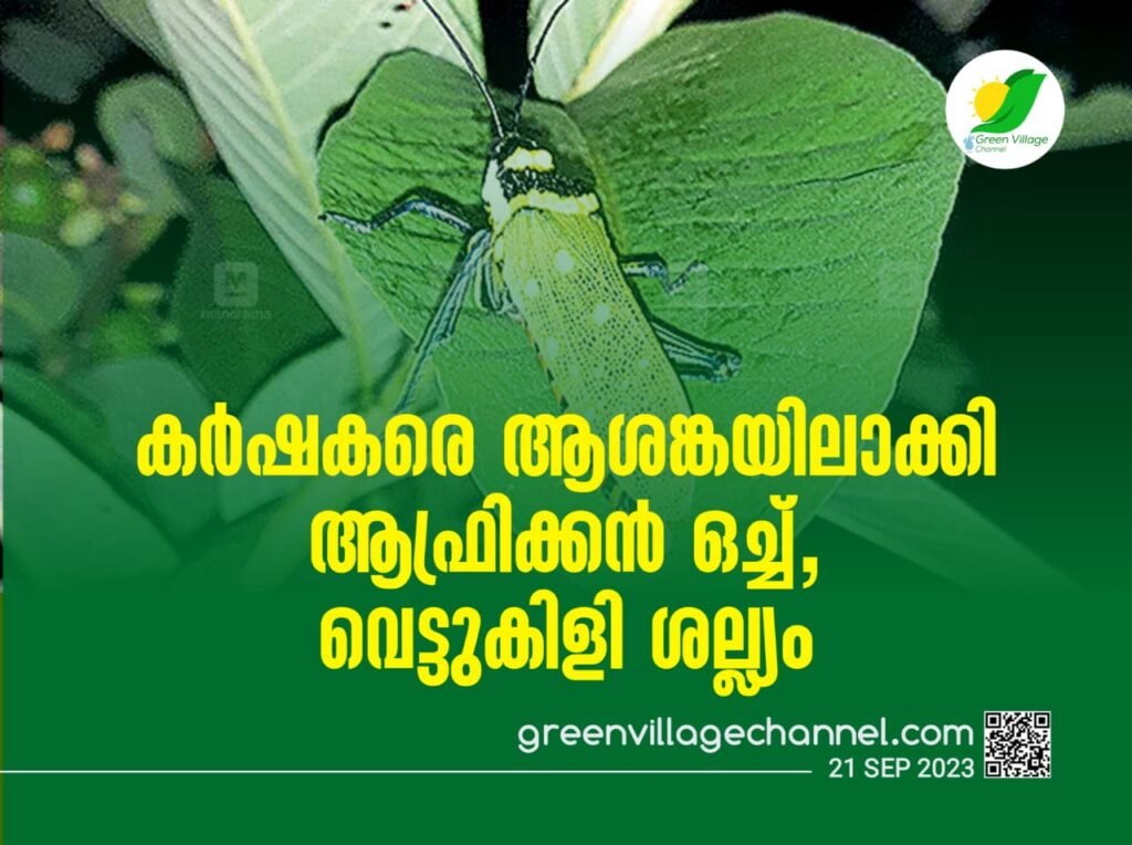 IMG 20230921 WA0077 1024x764