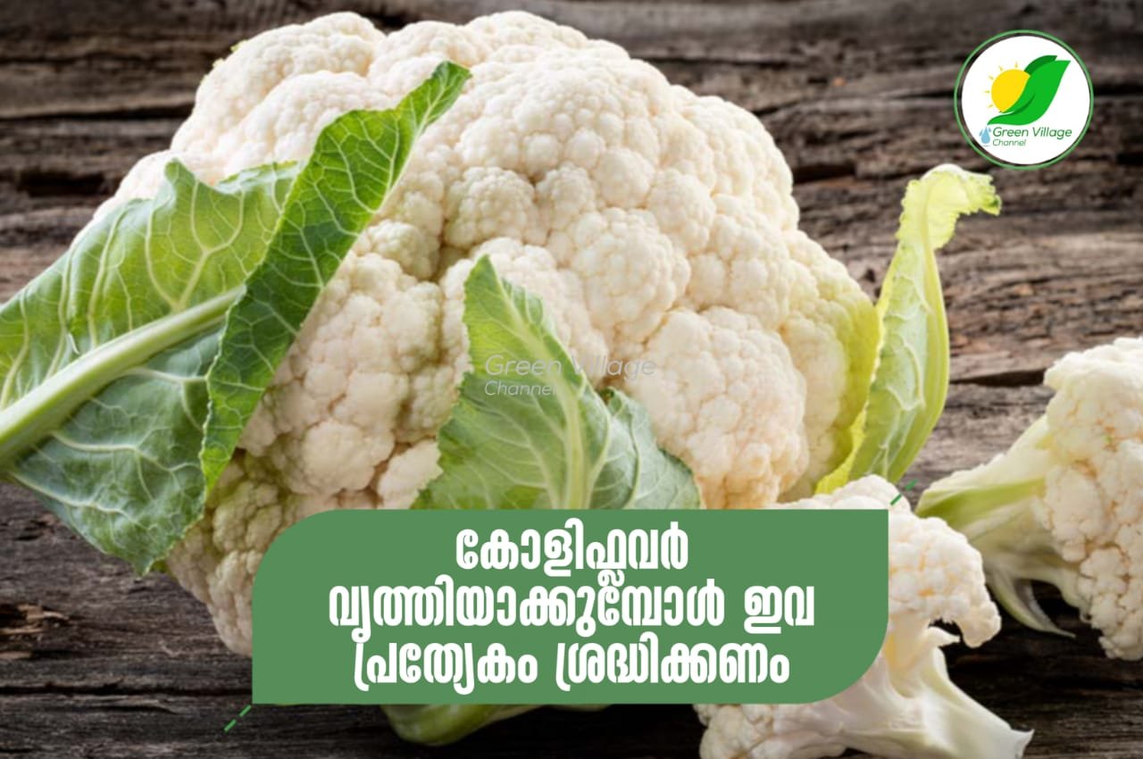 IMG 20230922 WA0101