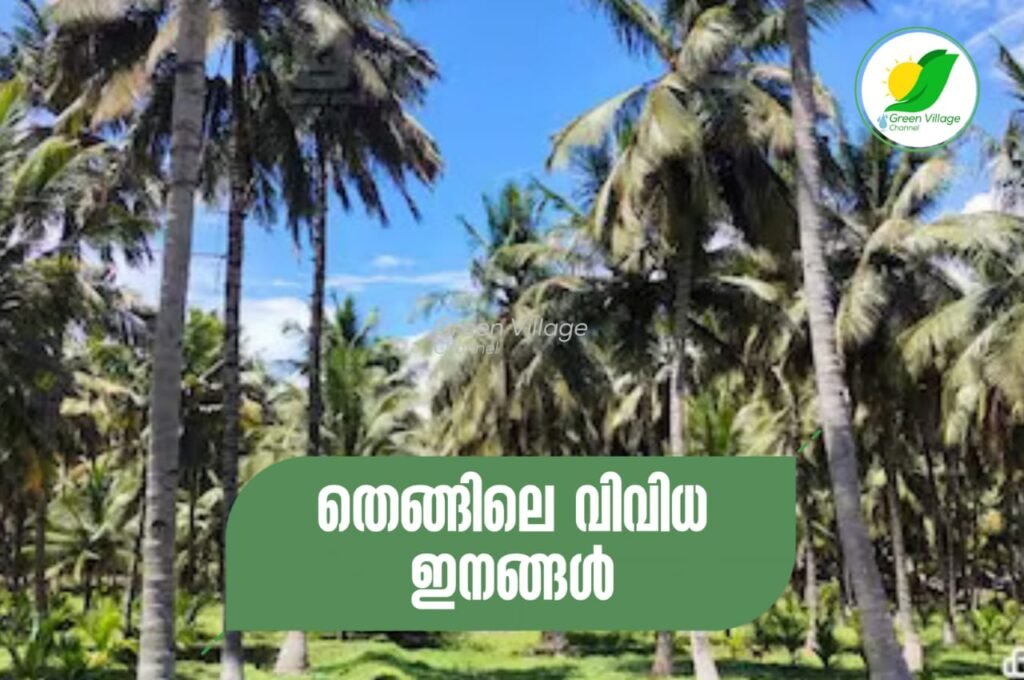 IMG 20230924 WA0032 1024x680