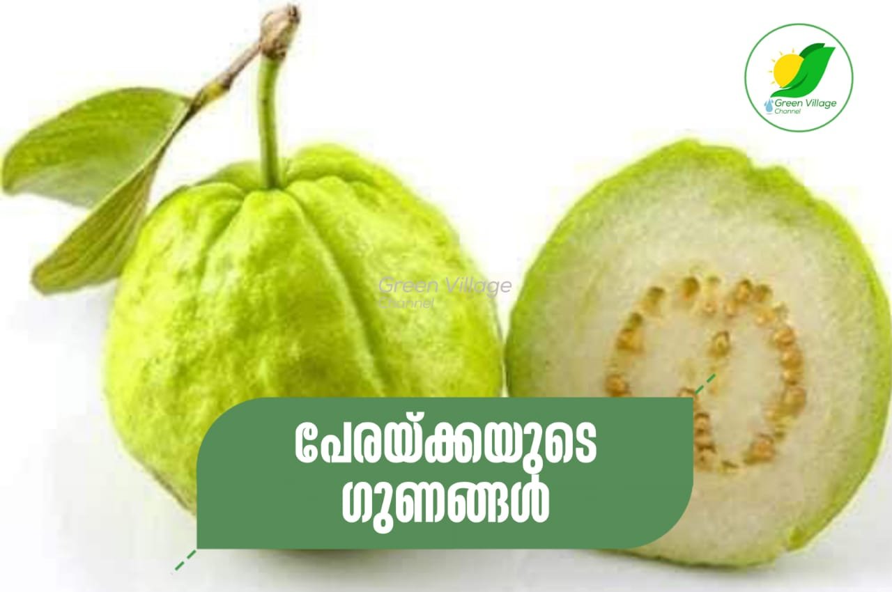 IMG 20230924 WA0047