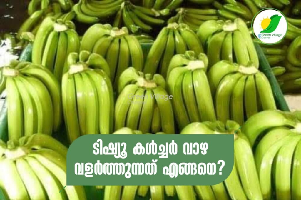 IMG 20230924 WA0052 1024x680
