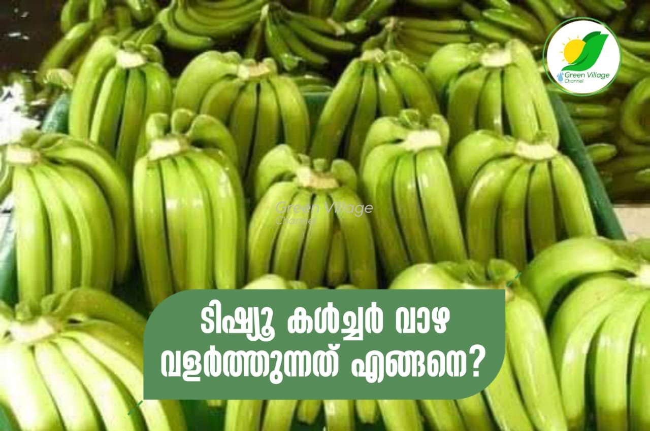 IMG 20230924 WA0052