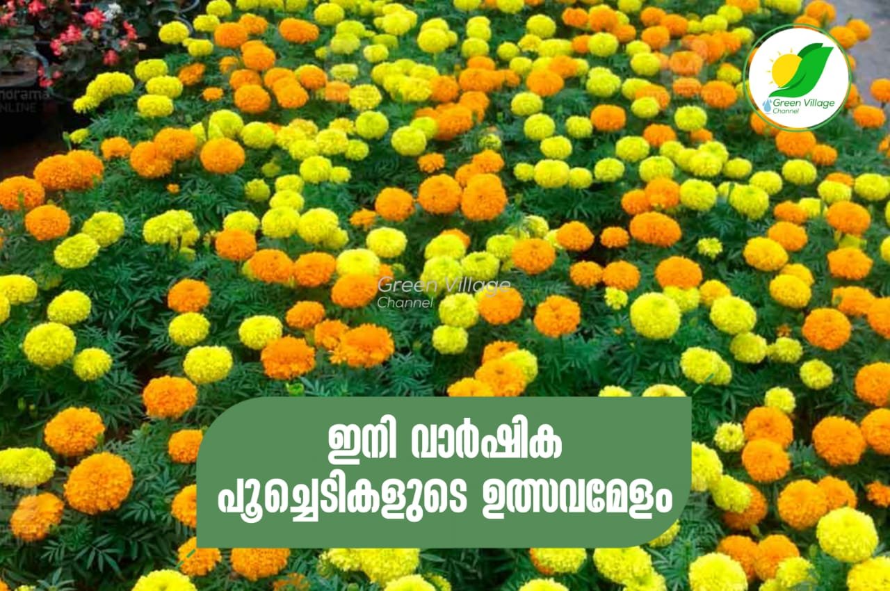 IMG 20230925 WA0059