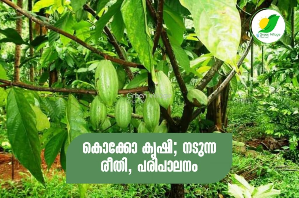 IMG 20230925 WA0068 1024x680
