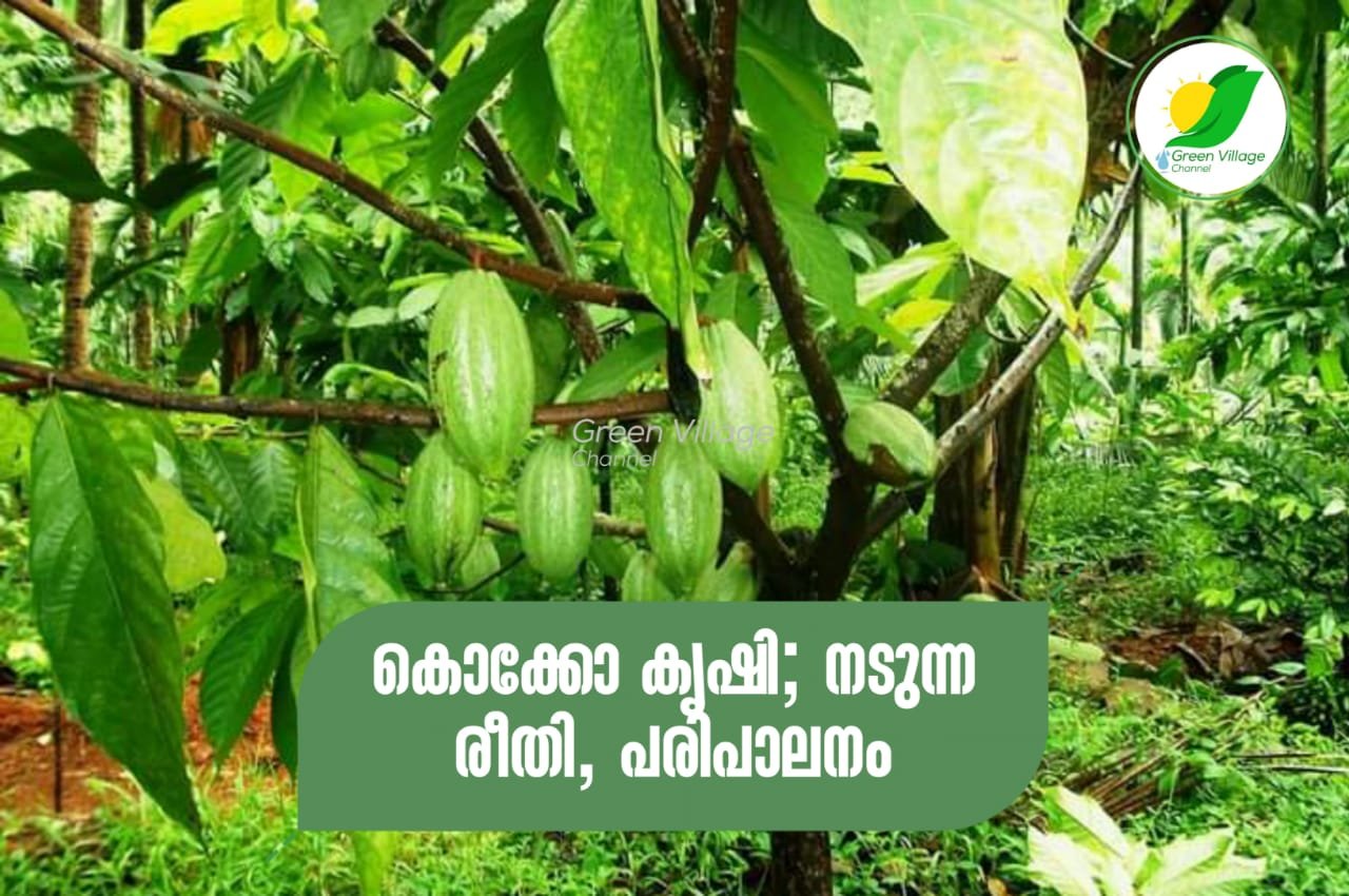 IMG 20230925 WA0068