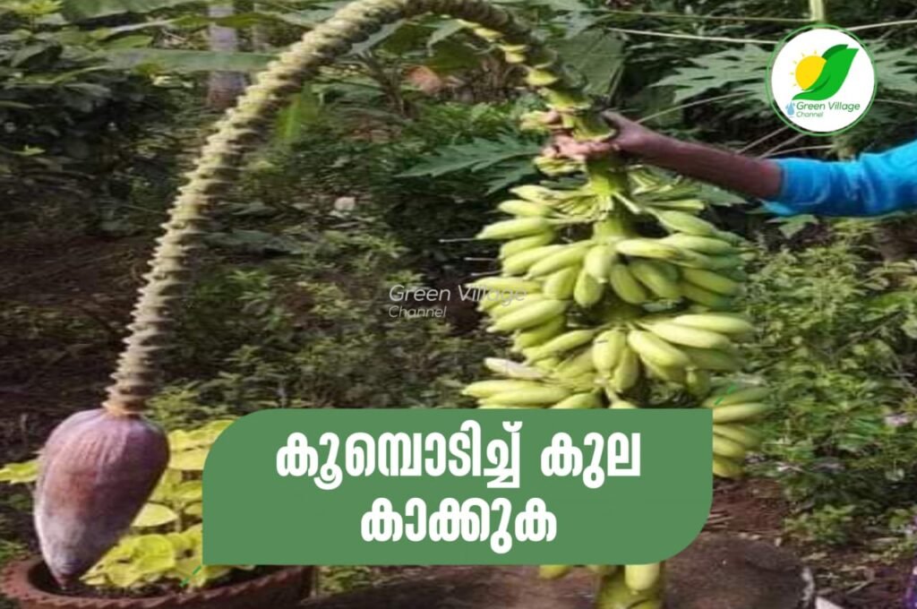 IMG 20230926 WA0018 1024x680
