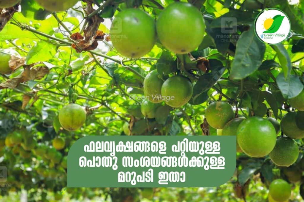 IMG 20230926 WA0093 1024x680