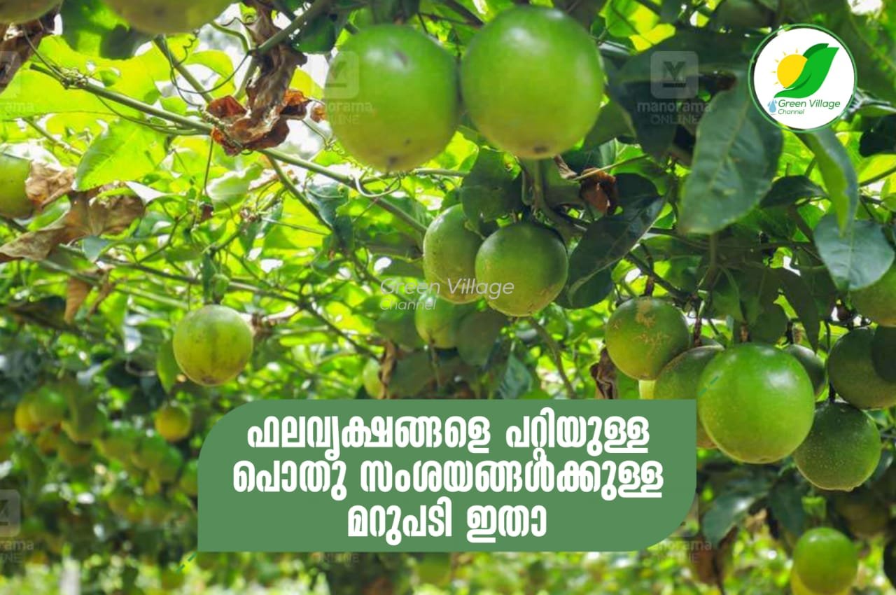IMG 20230926 WA0093