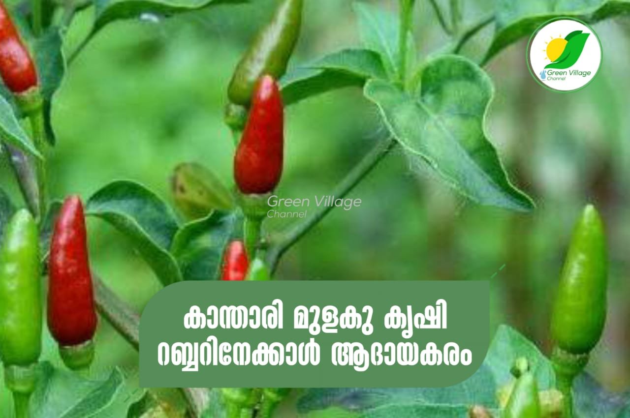 IMG 20230928 WA0073