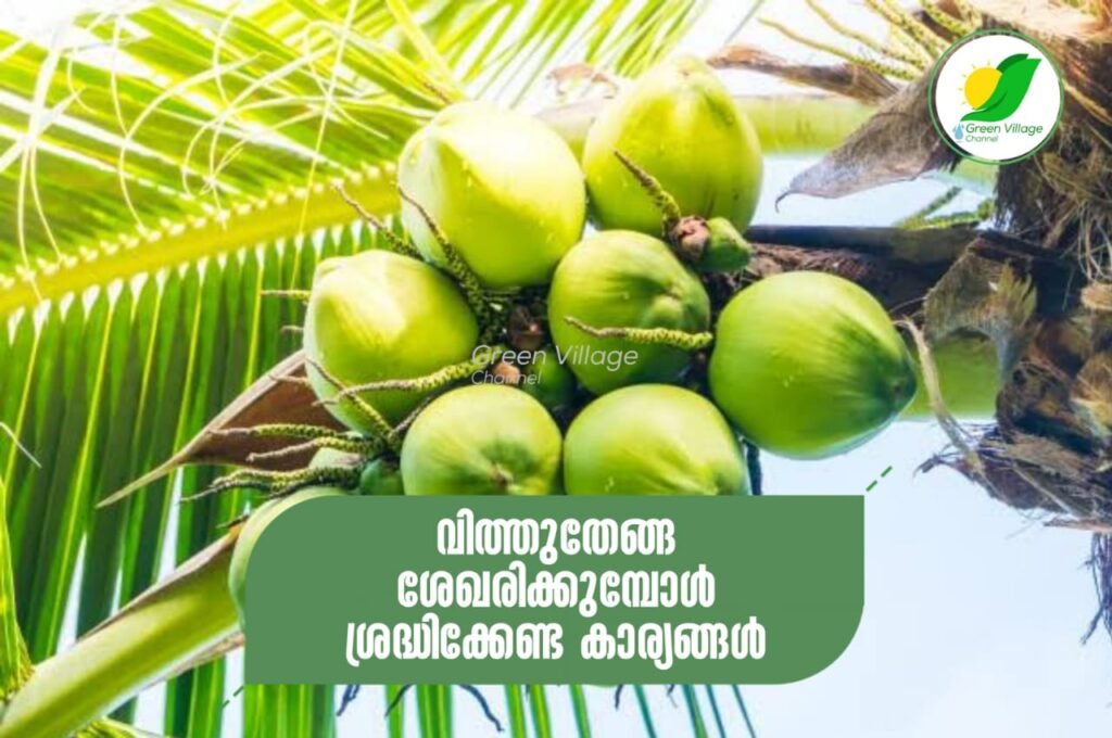 IMG 20230929 WA0095 1024x680