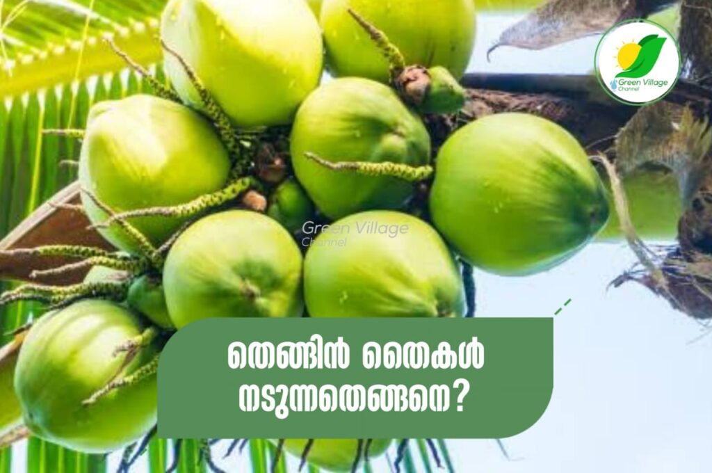 IMG 20230929 WA0096 1024x680