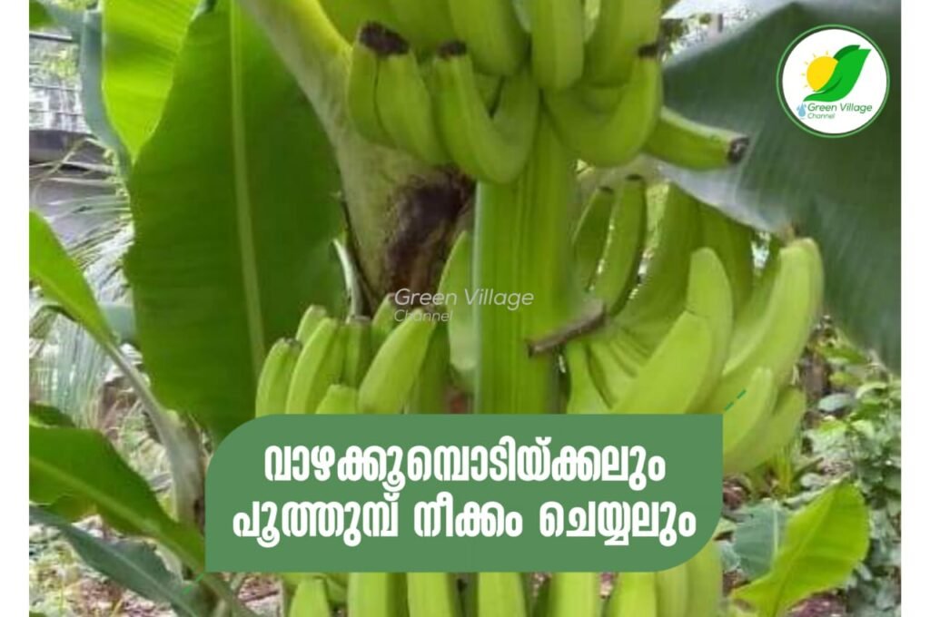 IMG 20230930 WA0013 1024x680