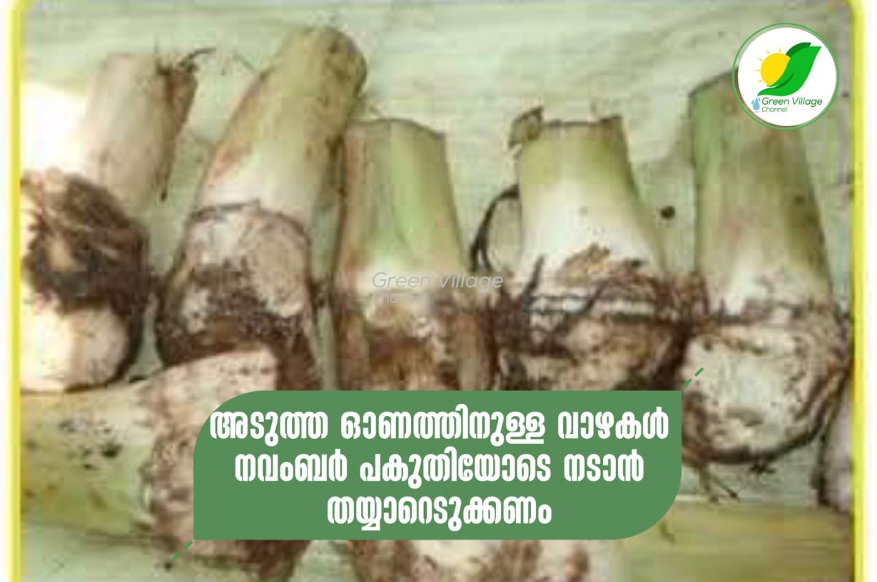 IMG 20230930 WA0015