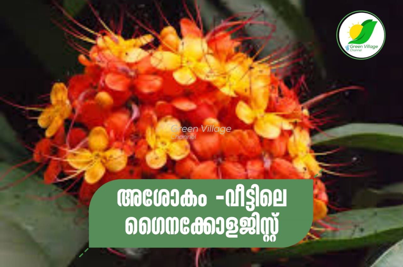 IMG 20231002 WA0041