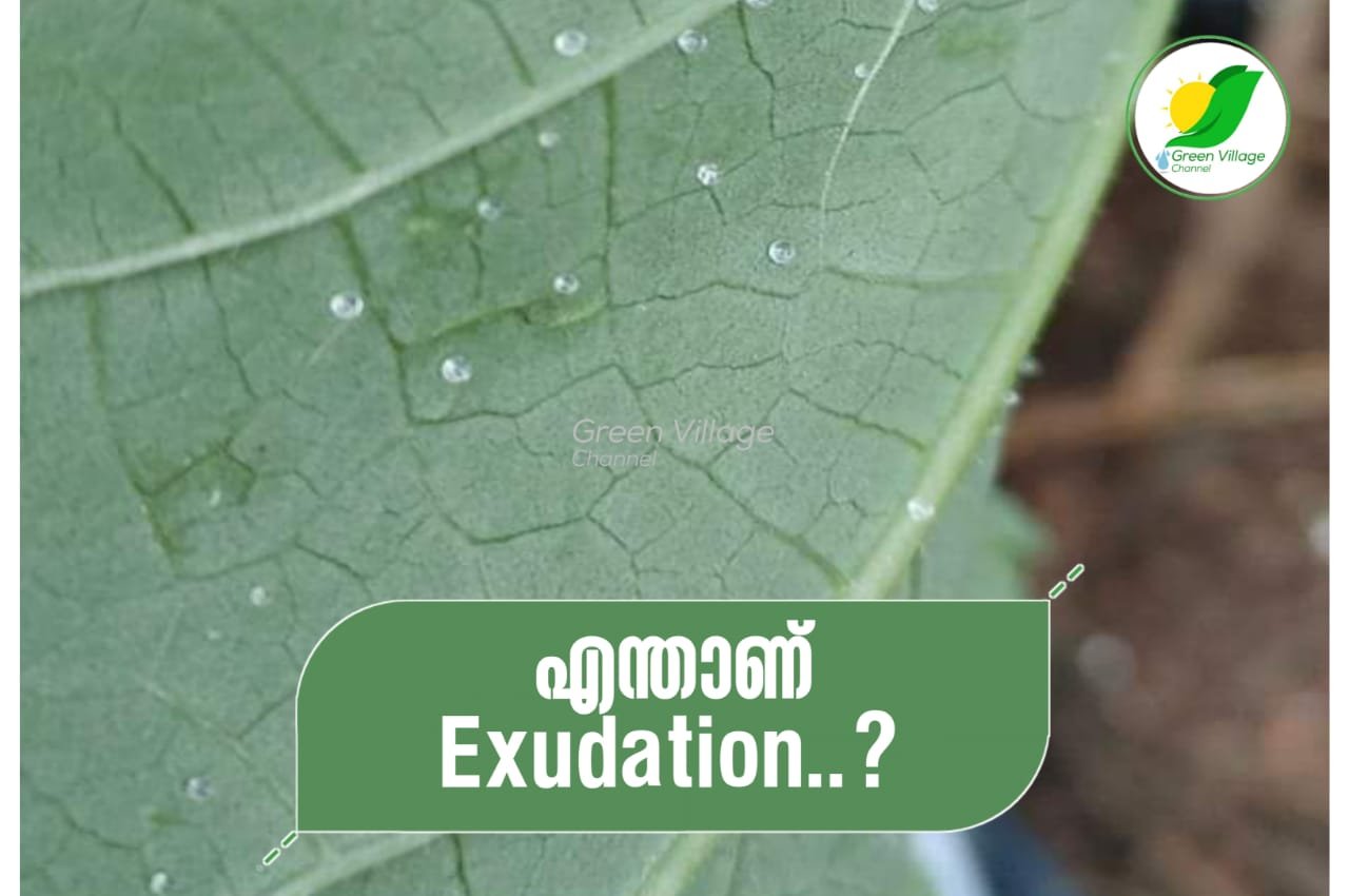 IMG 20231002 WA0075
