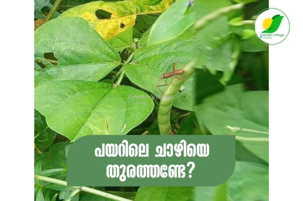 IMG 20231003 WA0030 1024x680