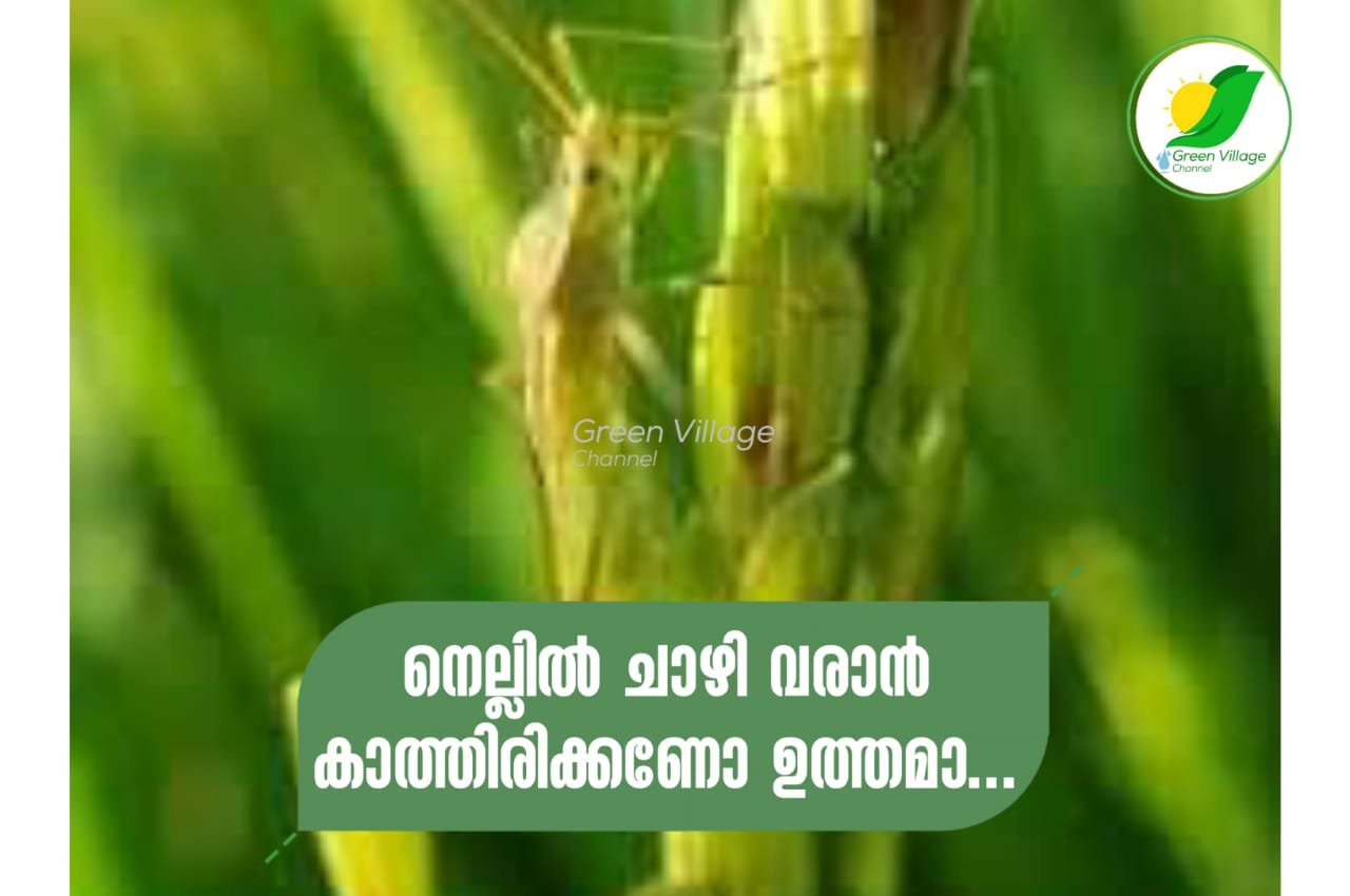 IMG 20231003 WA0035