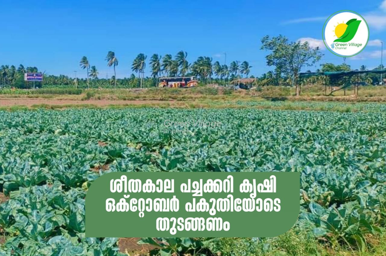 IMG 20231006 WA0004