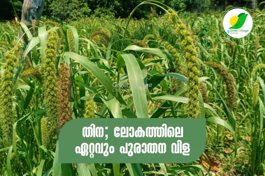 IMG 20231010 WA0097 1024x680