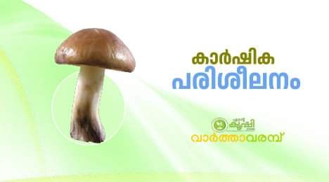 IMG 20231013 WA0004