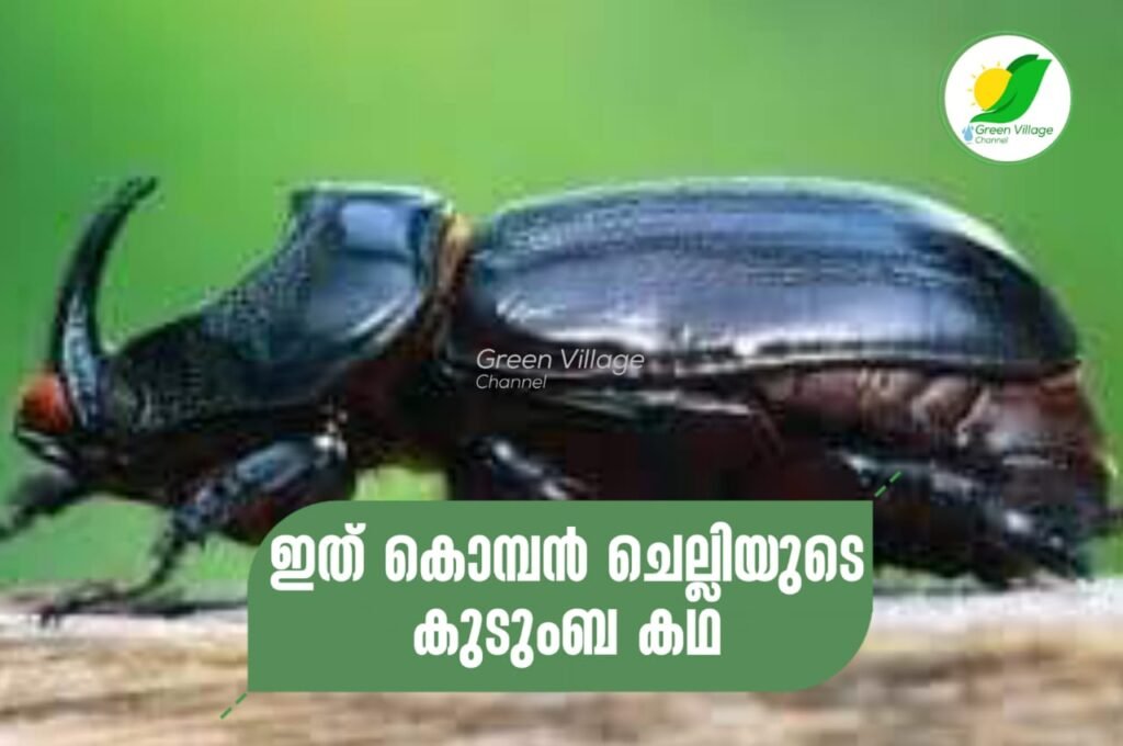 IMG 20231013 WA0010 1024x680