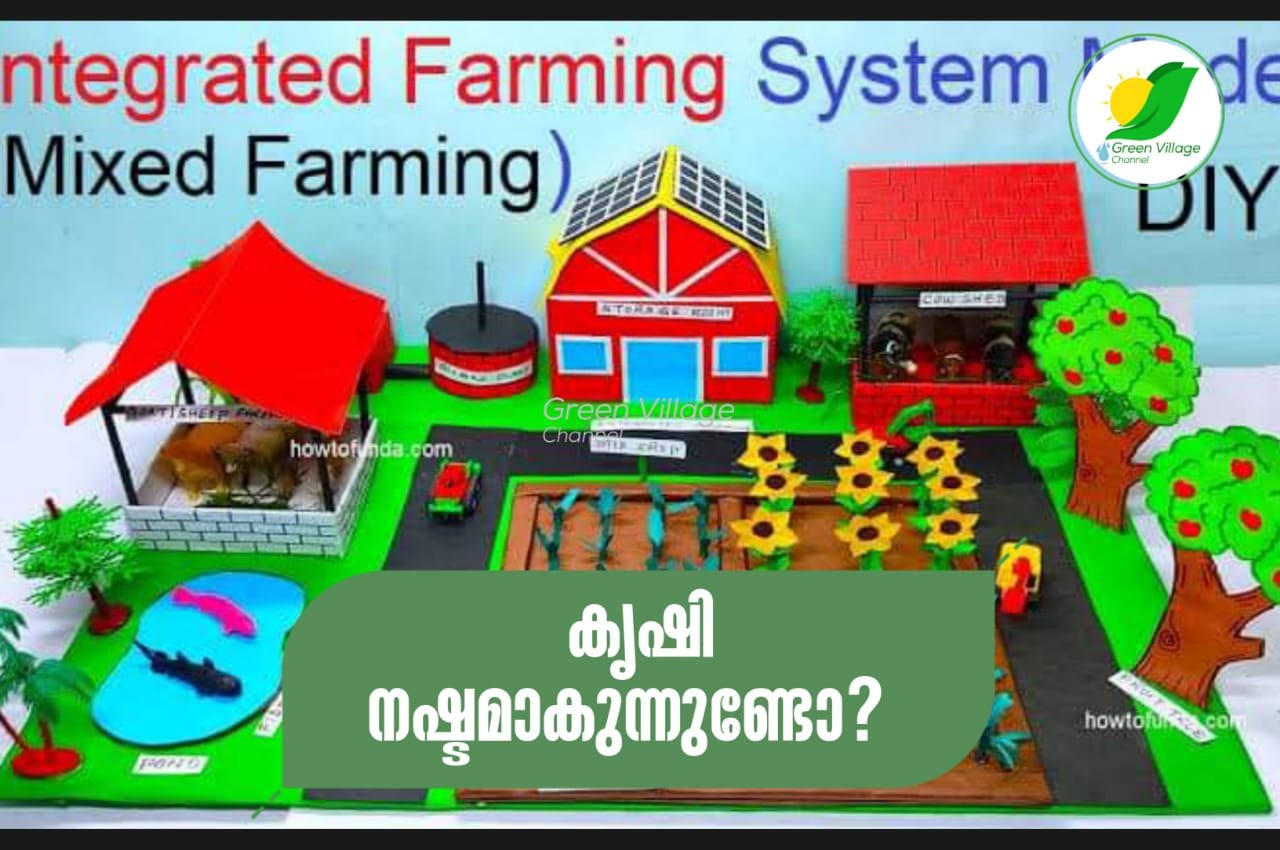 IMG 20231015 WA0034