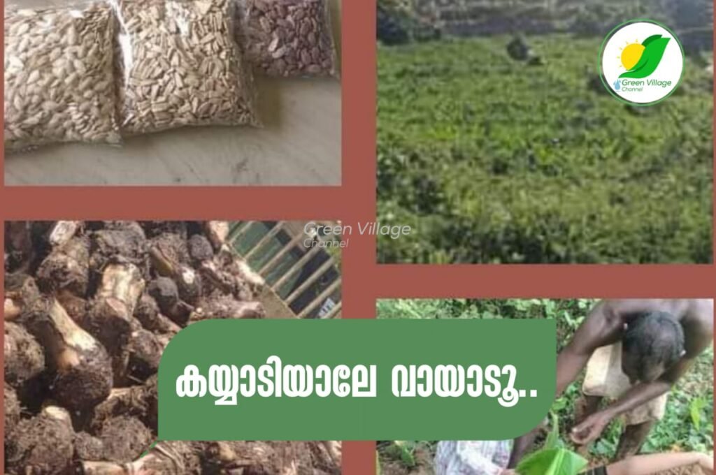 IMG 20231020 WA0087 1024x680