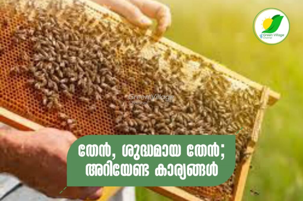 IMG 20231023 WA0007 1024x680