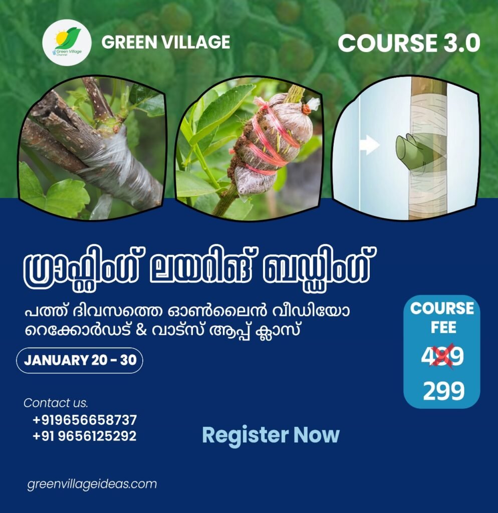 IMG 20240106 WA0462 994x1024