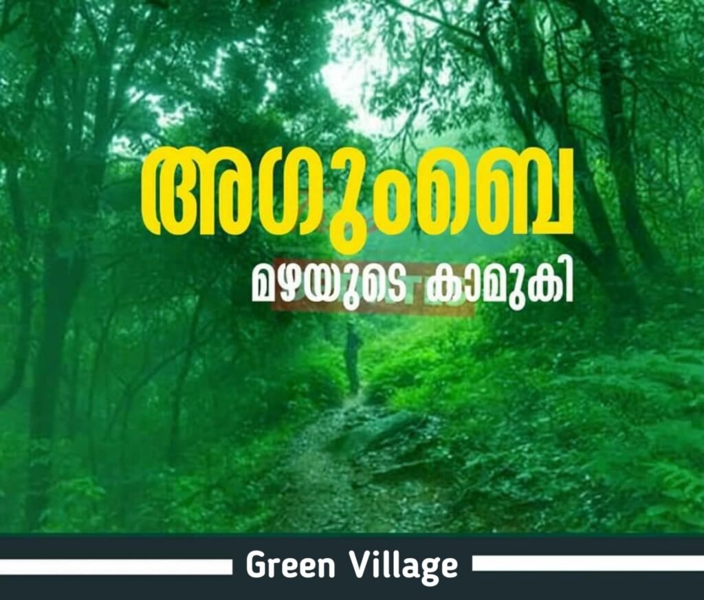 IMG 20240531 WA0038 1024x872