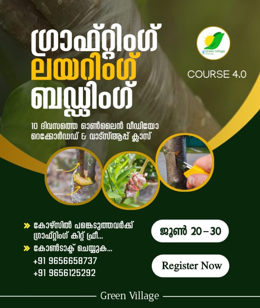 IMG 20240531 WA0039 864x1024