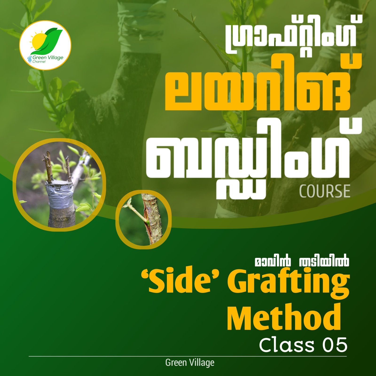 IMG 20240725 WA0115
