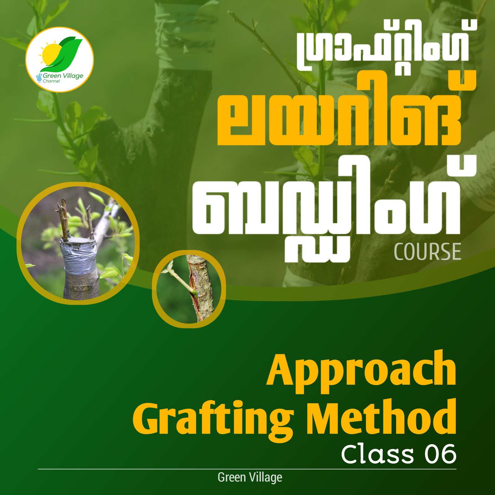 IMG 20240725 WA0121 1