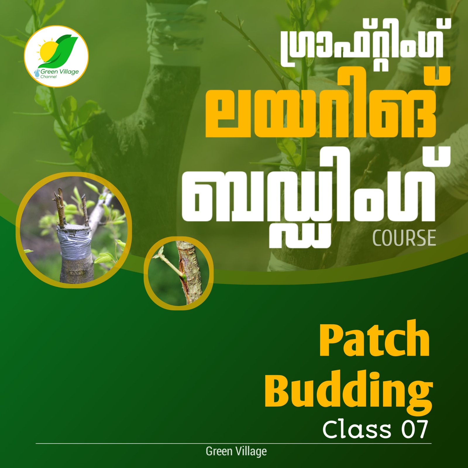 IMG 20240725 WA0123