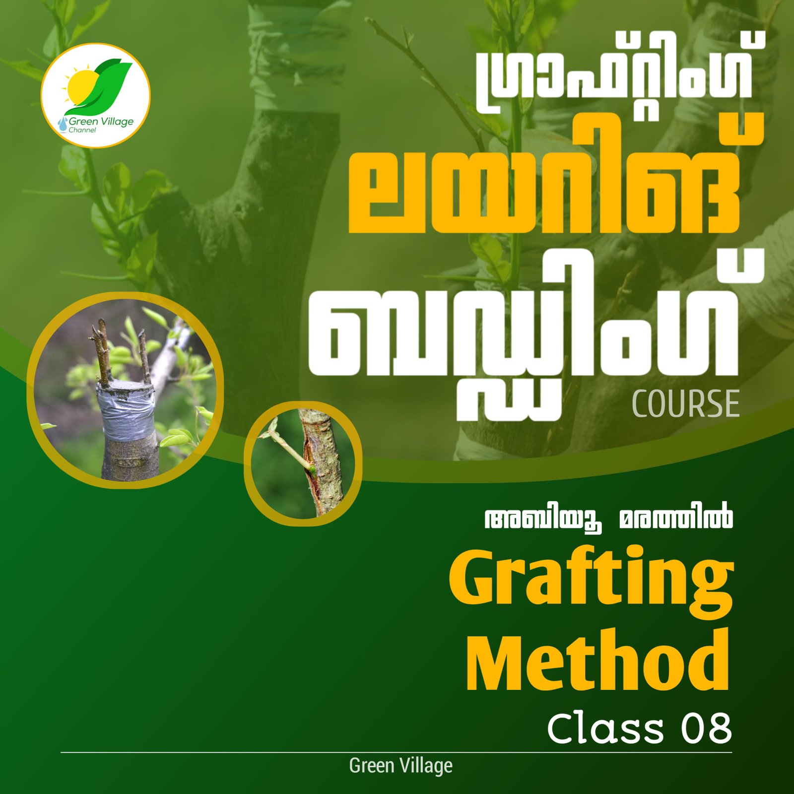IMG 20240725 WA0125