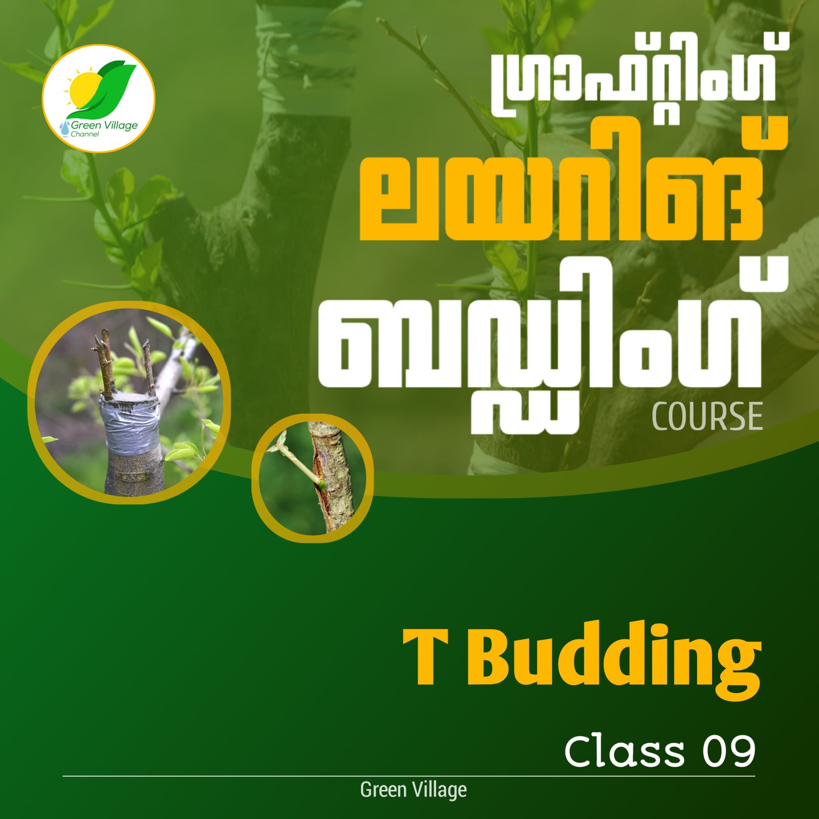 IMG 20240725 WA0127 1