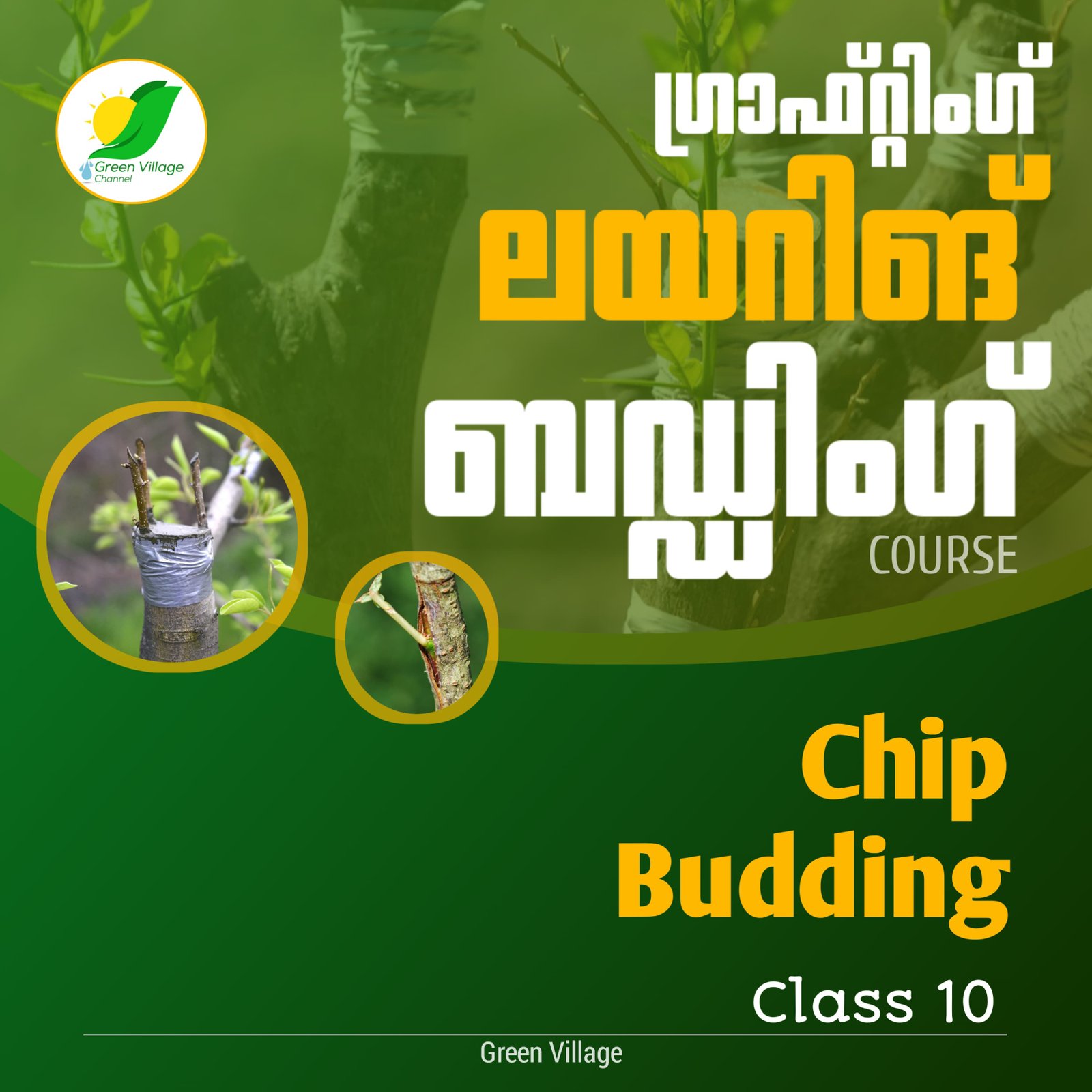 IMG 20240725 WA0129 1