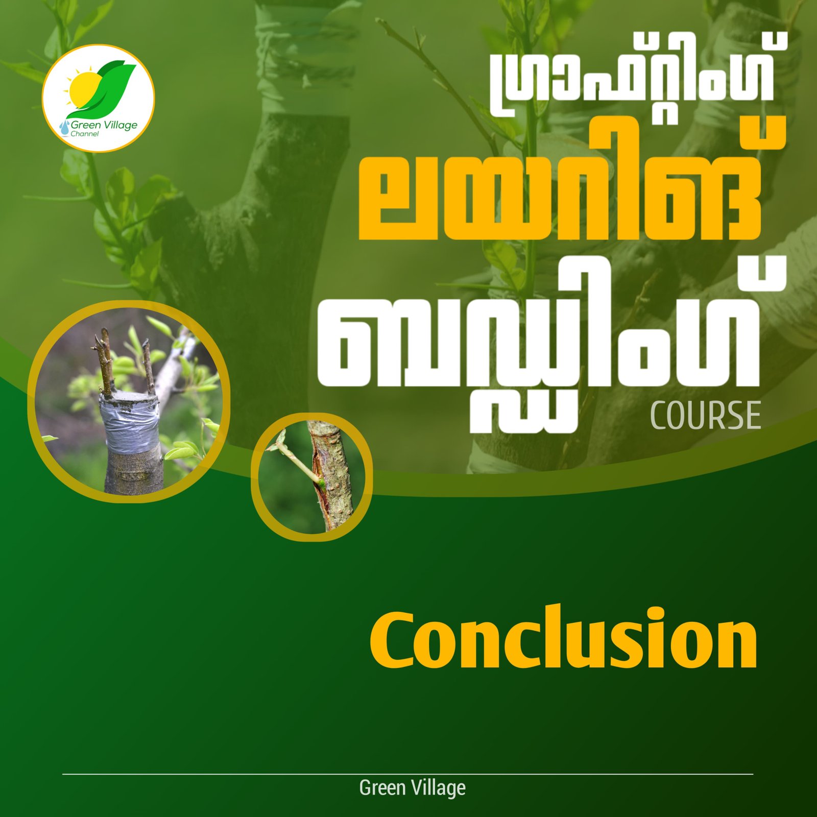 IMG 20240725 WA0133