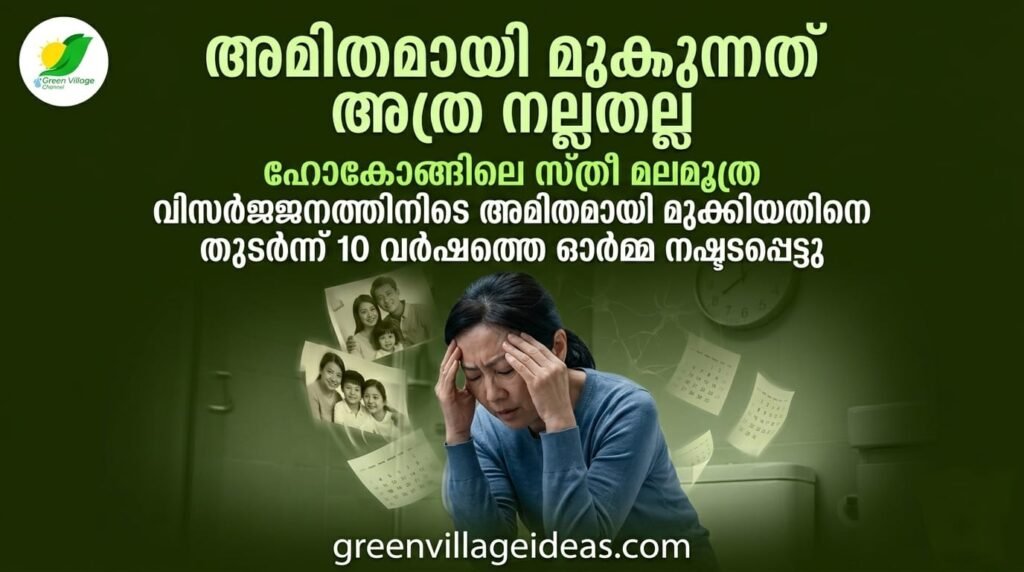 img 20260517 wa0134