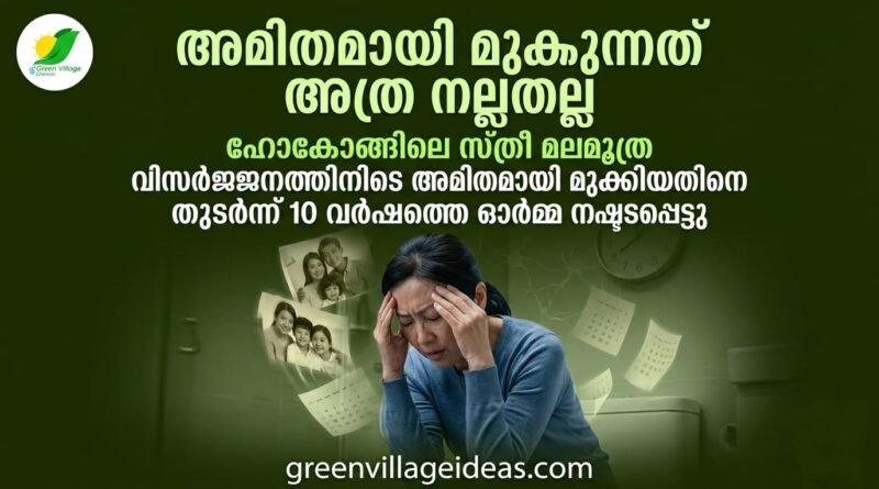 img 20260517 wa0134