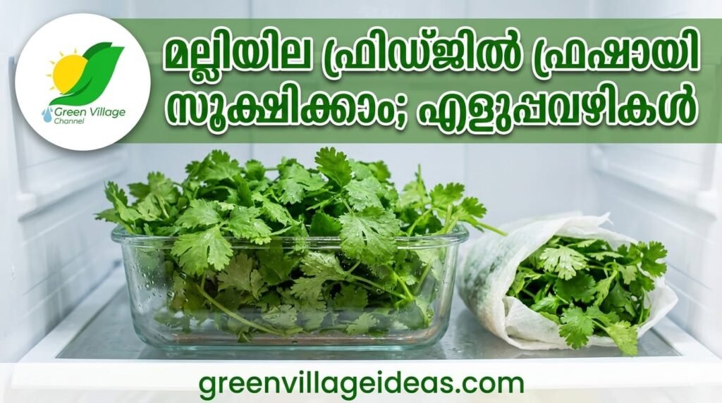 img 20260518 wa0040
