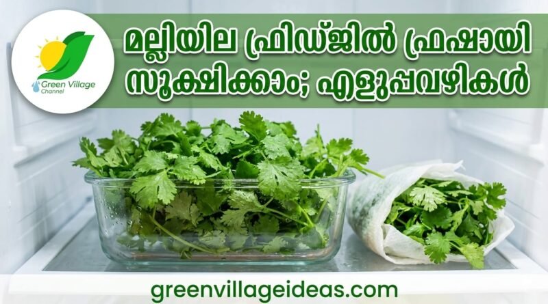 img 20260518 wa0040