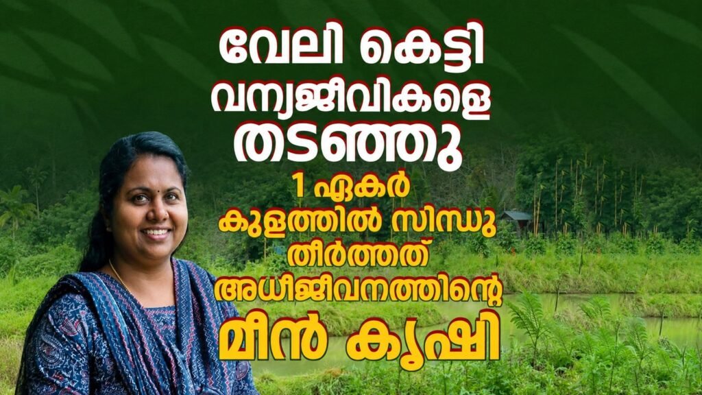 വന്യമൃഗശല്യത്തെ തോൽപ്പിച്ച് സിന്ധുവിന്റെ മത്സ്യകൃഷി; പുൽപ്പള്ളിയിലെ വിജയഗാഥ img 20260520 wa0531