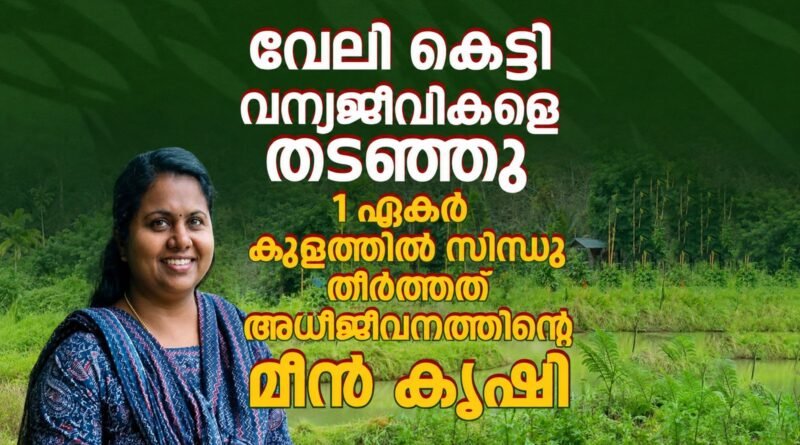 img 20260520 wa0531