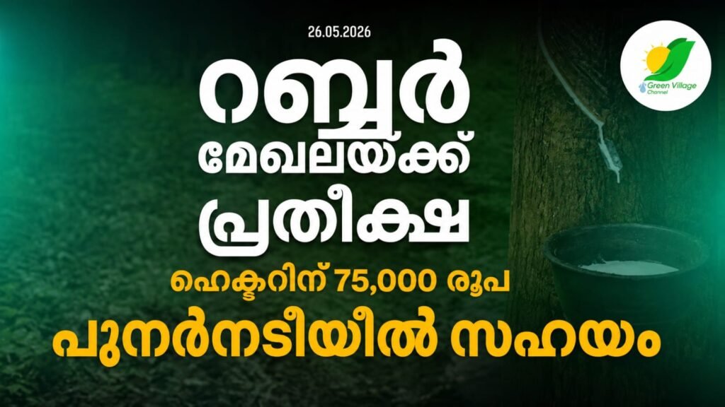 img 20260526 wa0834